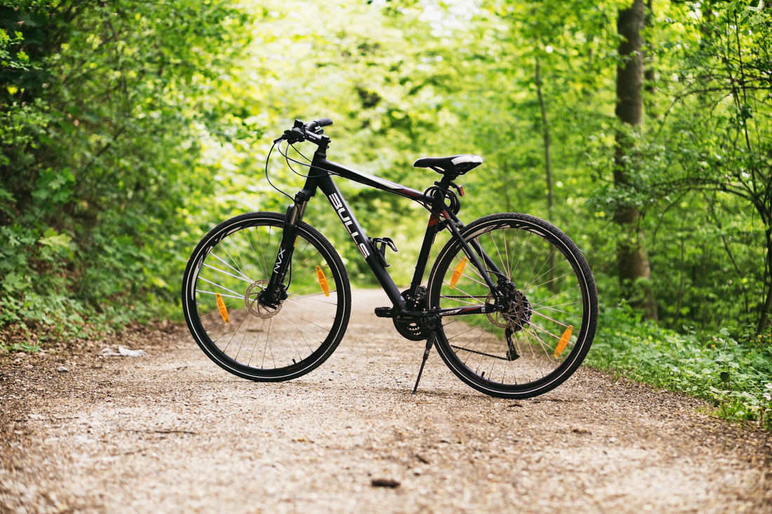 The "Silent Bike" Guide: How to Banish Creaks, Rattles, and Clicks for a Smoother Ride