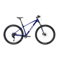 29" Zini Sport