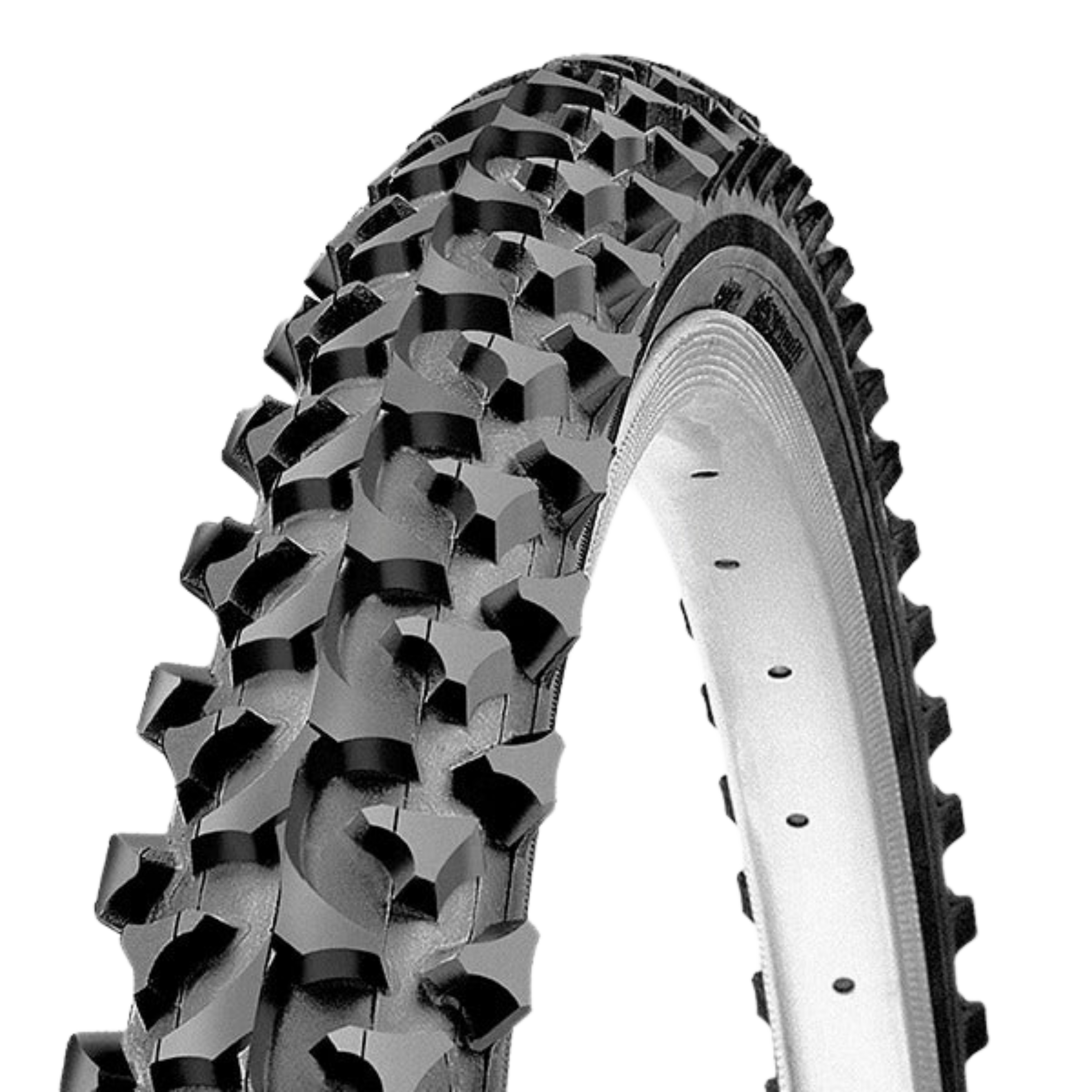 24" Ralson Craze Tyre